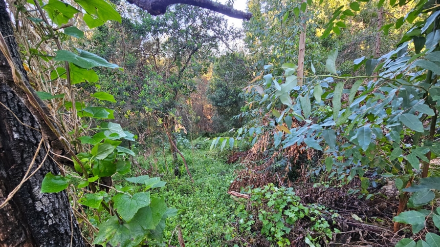 Commercial Property for Sale in Sedgefield Rural Western Cape